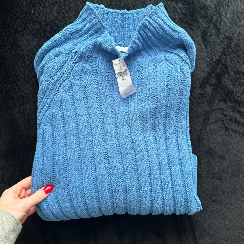 American eagle cropped sweater